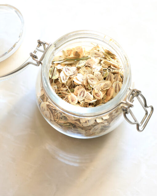 Dried angelica seeds